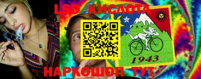 гашик Нальчик