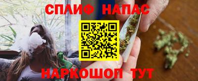 гашик Нальчик