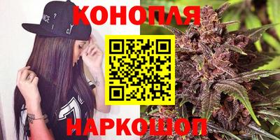 гашик Нальчик
