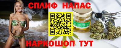 гашик Нальчик