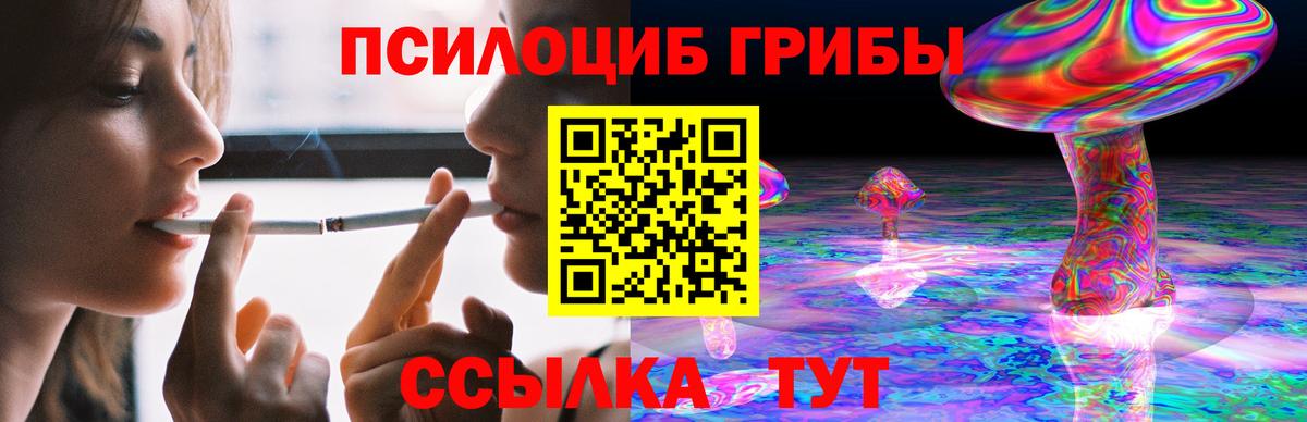 Псилоцибиновые грибы Magic Shrooms  купить  сайты  Сланцы  Вход с VPN 