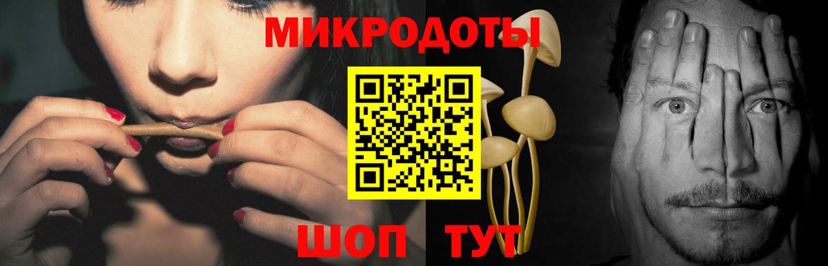 Псилоцибиновые грибы GOLDEN TEACHER Сланцы